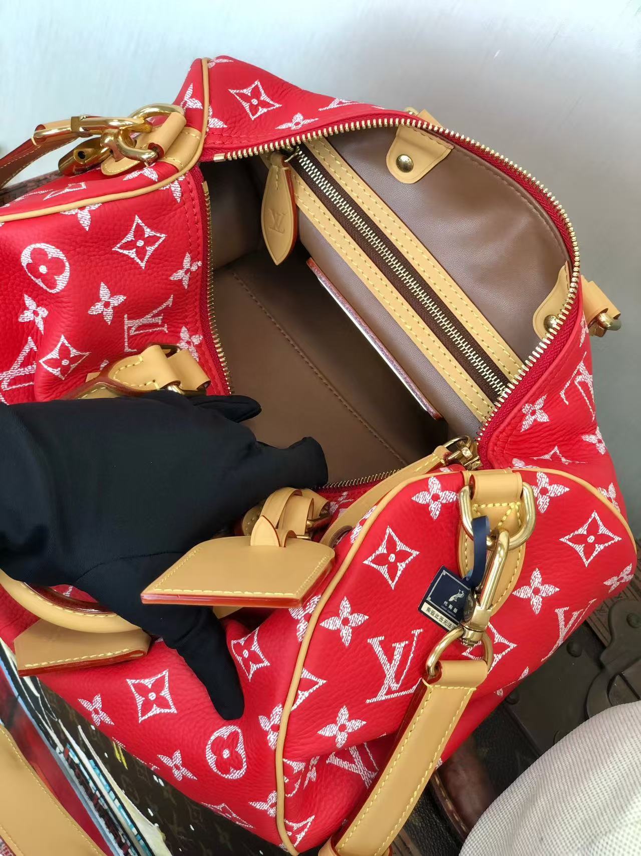 LV Bag