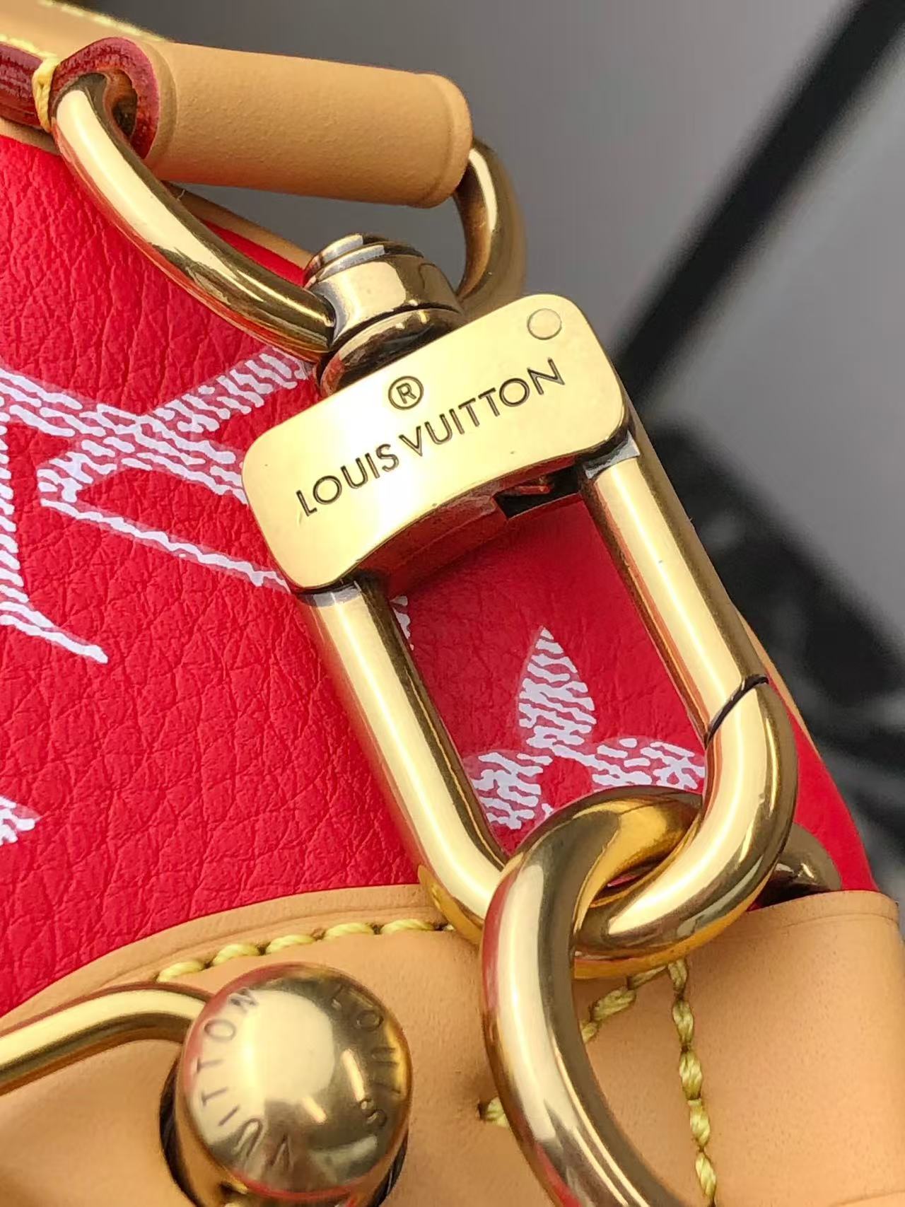 LV Bag